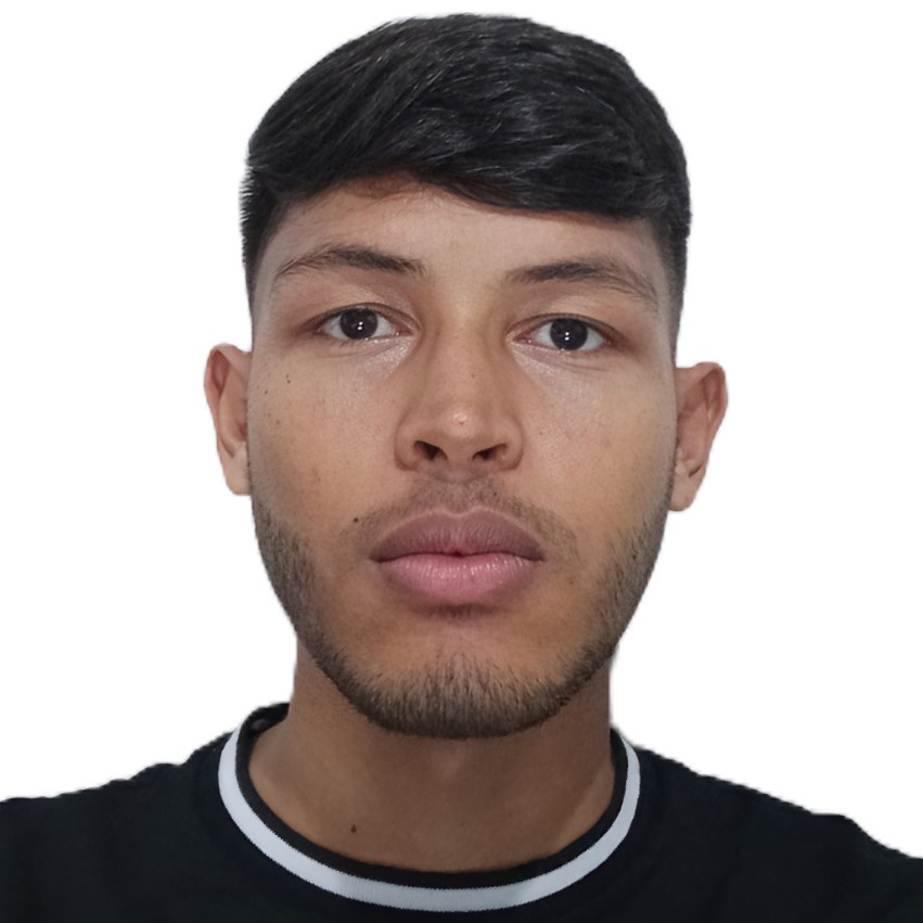 Carlos Mateo Martínez Guerra - Desarrollador Backend y Especialista en APIs RESTful con Laravel y Spring Boot